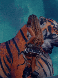 Water Dance GIF by Respective