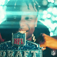 Happy National Football League GIF by NFL