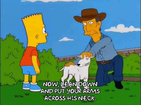 bart simpson dog GIF