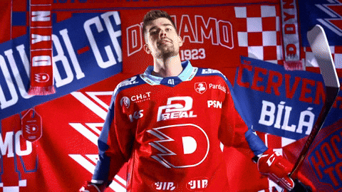 Peter GIF by HC Dynamo Pardubice