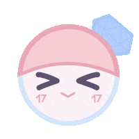 Carat 세븐틴 Sticker
