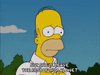 Episode 14 GIF by The Simpsons