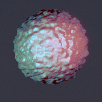 animation render GIF by Mathew Lucas 