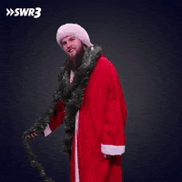 Merry Christmas GIF by SWR3