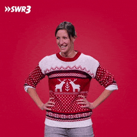 Scared Merry Christmas GIF by SWR3