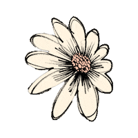 Chapot daisy print fc handdrawn Sticker