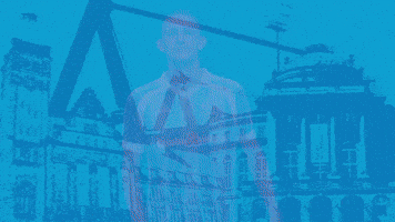 Football Tor GIF by ChemnitzerFC