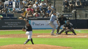 Spring Training Catch GIF by Jomboy Media