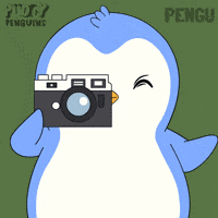 Penguin Smile GIF by Pudgy Penguins