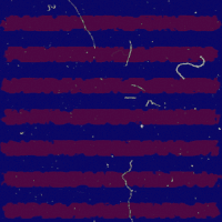 promo psychdre GIF