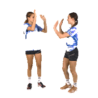 Team Handball Sticker by RK Krim