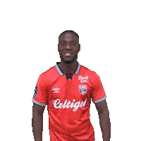 Football Footy Sticker by EA Guingamp