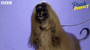 Bbc One Dog GIF by BBC