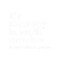 Football Gamecocks Sticker by University of South Carolina Alumni Association