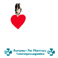 Border Co Sticker by Europeanpetpharmacy