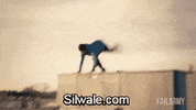 GIF by Silwale