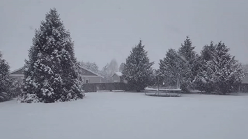 Snowflakes Fall in Washington as Winter Storm Hits Pacific Northwest