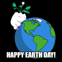 Go Green Climate Change GIF by Magic Eden