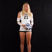 Ball Volleyball GIF by Purdue Fort Wayne Athletics
