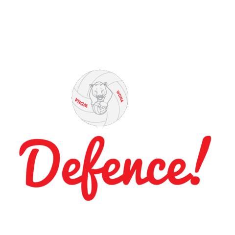 sport goal Sticker by WDNA