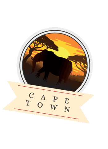 Nrintercambio Sticker by NR