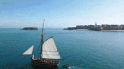 OptimistDigital pirate malo renard saintmalo GIF