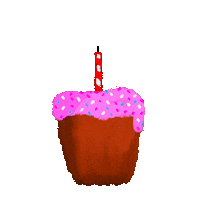 Make A Wish Birthday Sticker