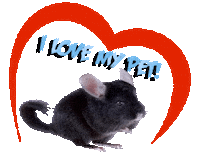 Guinea Pig Love Sticker