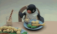 penguin eat GIF