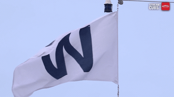 Chicago Cubs Mlb GIF