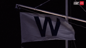 Chicago Cubs Baseball GIF