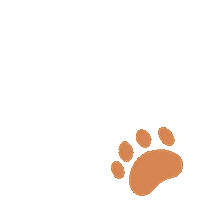 Pets Paws Sticker
