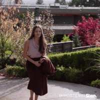 imposters GIF by Stan.