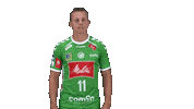 Handball Gwdminden Sticker by GWD Minden Handball-Bundesliga GmbH & Co.KG