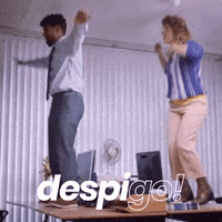 despigo fiesta despedida soltera soltero GIF
