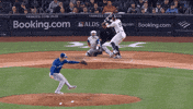 New York Canada GIF by Toronto Blue Jays