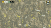 Celebrate In The Rain GIF by Hyundai A-League