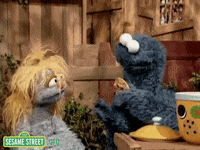 GIF by Sesame Street