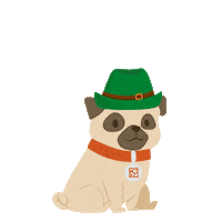 St Patricks Day Puppy Sticker by Petland Florida