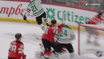 Happy Dallas Stars GIF by NHL