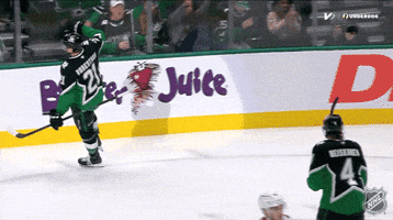 Happy National Hockey League GIF by NHL