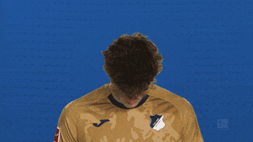 Look Up Tsg Hoffenheim GIF by Bundesliga