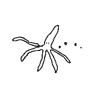 Octopus Squid Sticker by Hagenfest