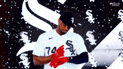 Major League Baseball Sport GIF by NBC Sports Chicago