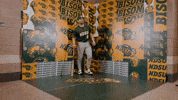 Baseball Bison GIF by NDSU Athletics