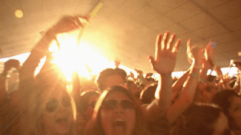 Sunset Dancing GIF by Coachella