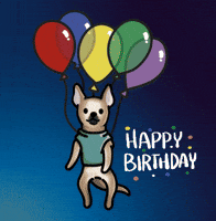 Happy Birthday Chihuahua GIF by TEHZETA