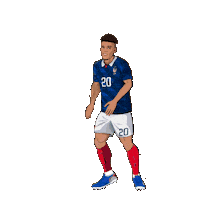 France Football Sticker by Panini America