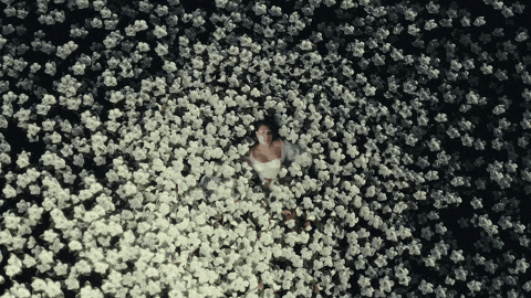 Born Again GIF