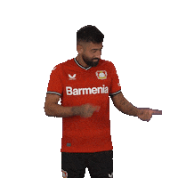 Happy Football Sticker by Bayer 04 Leverkusen